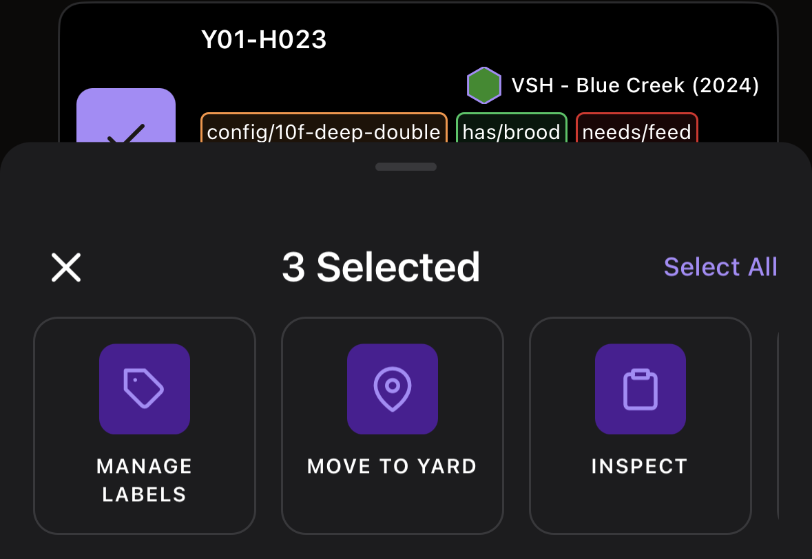 Buzzza app — bulk actions for selected hives: manage labels, move to yard, inspect